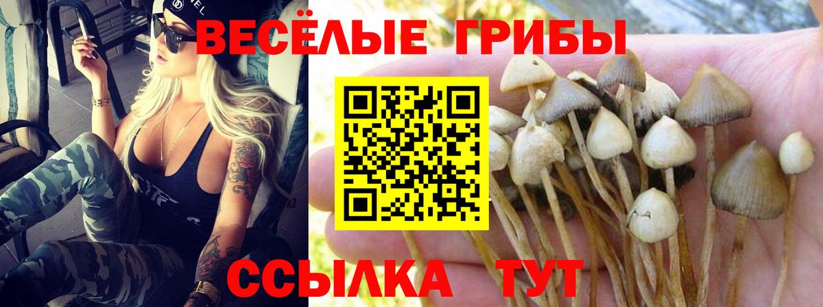 Галлюциногенные грибы мицелий Минеральные Воды